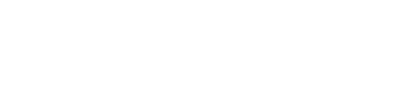 STATEMENT brand logo